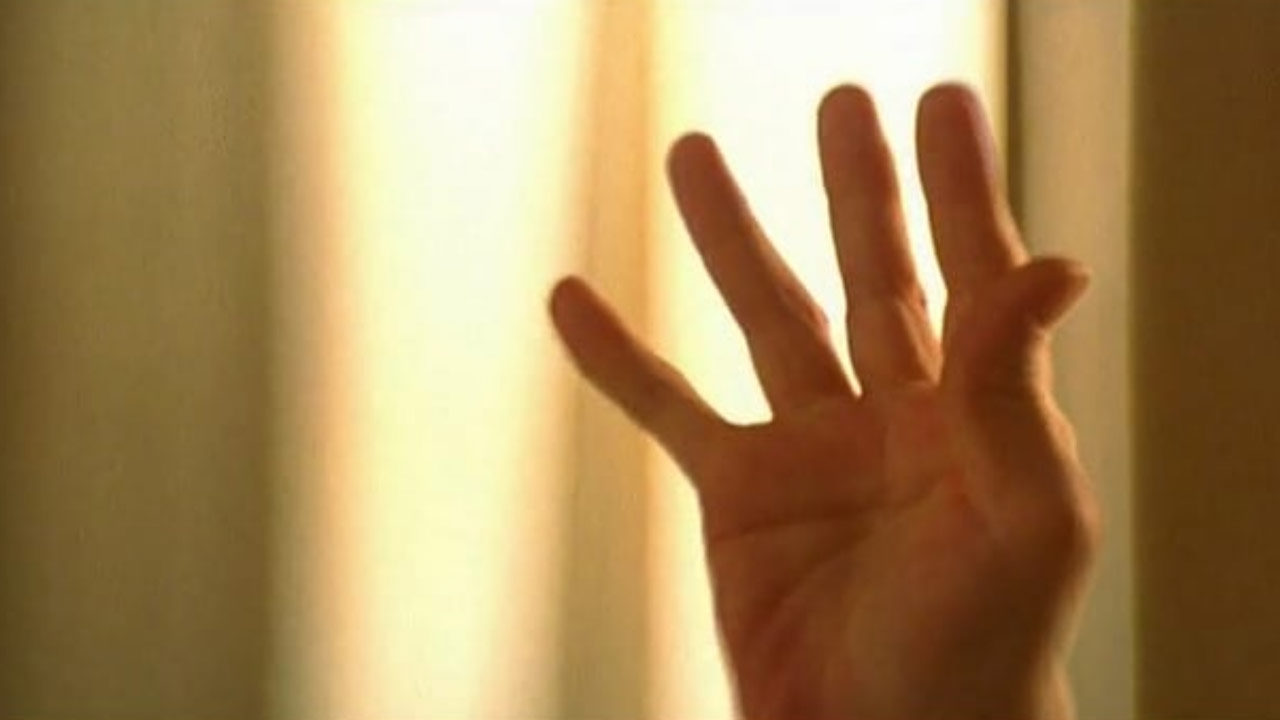 Clara no lo esperaba - Wonka